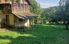 Doua terenuri intravilane in Comuna Teisani de vanzare - 7