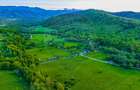 Teren 3.352 mp | Șinca Nouă | Râu | Cadrul natural superb | Comision 0 - 12