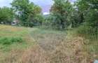 Teren construibil de vânzare 990mp în Barzava, județul Arad - 8