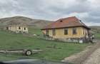 Stejeris are un teren de 3388000 de metri pătrați, din care 5000 de metri pătraț - 2