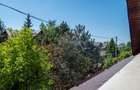 Saftica - vanzare vilă 5 camere complet mobilata, curte+gradina, DN1 - 42