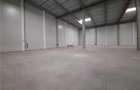 Spatiu Industrial - 1140 mp - Productie - Depozitare - Distributie - E-Commerce - 24