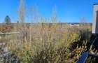 RESIDENCE5 IANCU NICOLAE 122 - OLIVETO, CURTE INTERIOARA, PAZA 24H, COMISION 0 - 1