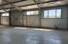 Spatiu comercial 280 mp + 700 mp curte, Filiasi  - 2