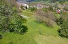 Teren intravilan |Moieciu de Jos| str. Principala| - 5