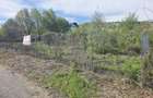 Teren 1,000mp Piatra-Neamt / Zona Fermelor - 2
