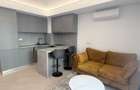 Studio dublu de Inchiriat Cortina North - 1