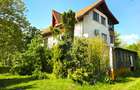 Proprietate unica, deschidere generoasa directa la lacul Snagov - 37