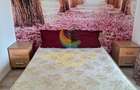 Apartament 2 camere mobilat si utilat str Turnu Magurele - 8