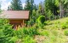 Casa 3 camere, 840 mp teren care include padure, Paltinis - 18