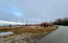 Teren extravilan 6.500 mp – Cârțișoara | Comision 0% - 3