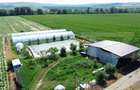 Teren extravilan 14.000 mp, Drâmbar – Ciugud | solarii, fotovoltaice - 3