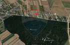 Teren intravilan, 752 mp, Bolintin-Deal, Giurgiu - 3
