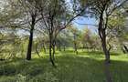 Casă  de vânzare în zona Câmpulung înconjurată de natura - 14