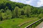 Ultimul teren intravilan Valea Măierușului | PUZ turistic aprobat | COMISION 0% - 2