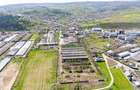Teren Industrial 3Ha și Hală 1000mp de Vânzare în Tomesti - IAȘI - 5