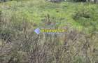 Teren intravilan I 760 mp I  DE VANZARE I in Barabant cu toate utilitatile I - 2