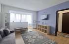 Ap 2 camere renovat, prima inchiriere, Parcul Dr Taberei - 4