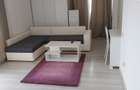 Inchiriere Apartament 2 camere decomandat Herastrau - 4
