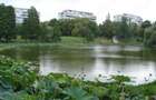 Apartament 3 Camere | Semidecomandat | Parcul Circului - 9