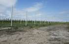 Platformă agro-industrială cu potențial de scalare - 9