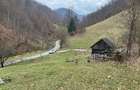 Teren intravilan 1.28ha Remeti–perfect pensiune/cabane, zonă turistica - 2
