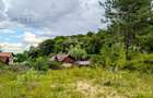 Teren intravilan pentru constructie casa in Cheile Baciului - 7