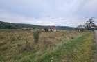 Teren localitatea Petris, Arad - 4