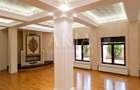 VANZARE VILA | HALA IN VLADICEASCA | SNAGOV | 10.500 MP TEREN - 3