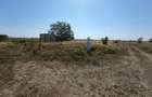 Frumusani post trafo - 6