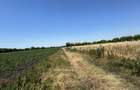 Teren intravilan 2999 mp, Com. Barcanesti, Sat. Ghighiu - 4