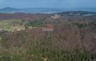 Teren intravilan, 56000 mp, Poiana Brașov - 5