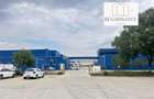 3 Hale Clasa A | 11.250mp Construiti 25.450mp Teren | Freidorf - 2