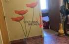 Apartament 3 camere Dristor -Camil Ressu - 2