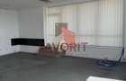 Spatii de birouri in centrul Timisoarei. Disponibile imediat - 17