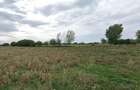Teren intravilan - 4.000 mp, Loc. Roseti