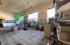 Investiție Rară în Zonă Centrală | 250 mp + 60 mp Demisol - 4