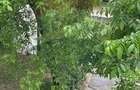 DE VANZARE Garsoniera in Cartierul Băneasa - 13