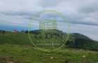 Parcele de vis în munți – Zonă Arka Park, cu drum de acces și PUZ aprobat - 3