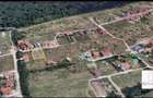Dumbravita Teren Intravilan 1466mp Front 29m | Langa Padure - 4