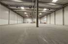 Spatiu Industrial - 4200 mp - Logistica - Productie - Depozitare - Distributie - 6