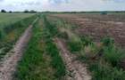 Teren intravilan de vanzare | Peris | 10.000 mp | Investitie sigura - 7