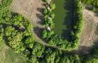Teisori domeniul verde cu baltă de pește ,Neajlov,,Padure - 4