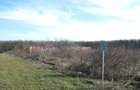 GANEASA, langa lac, padure si vile, 1075 mp. teren construibil - 3