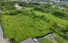 Teren intravilan 4000mp Cisnadioara str. Ciresilor - 4