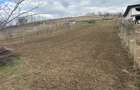 Teren intravilan 1724mp - 4