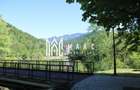 Investitie I Restaurant I Parc Izvor Caciulata - 6