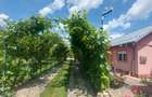 Snagov- Gruiu- Santul Floresti -Proprietate cu stil pentru oameni gospodari! - 3