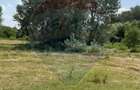 Teren-5000mp DN Ganeasa,sat Sindrilita,T9/Parcela 32/37 - 1