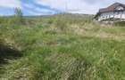 Teren 500mp Zona Fermelor - 11